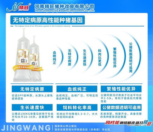 破局养猪微利困局 河南精旺携手2025母猪产业大会，以健康咨询赋能增效